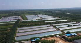 航拍农村大棚农田