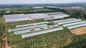 航拍农村大棚农田