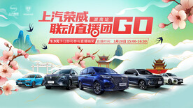 春季直播汽车团购会