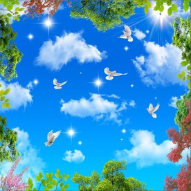 蓝天白云绿叶鸽子