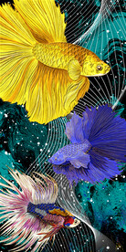 线条戏鱼玄关装饰画晶瓷画