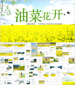 春天乡村旅游油菜花风景油菜花田