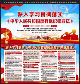 2022年反有组织犯罪法