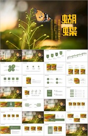  绿色春天大自然昆虫蝴蝶ppt