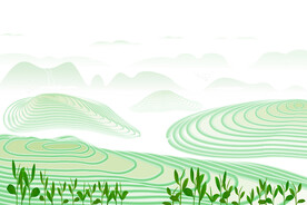 茶山云雾绿茶茶叶嫩叶嫩芽山水