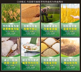 节约粮食海报
