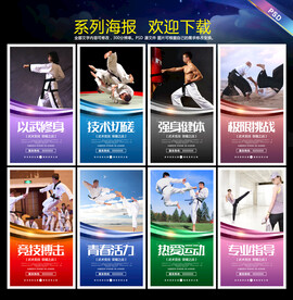 跆拳道海报 