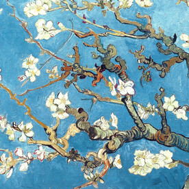 白色桃花艺术画家画