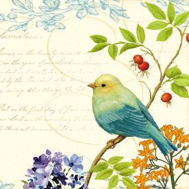 手绘挂画小鸟高清家画