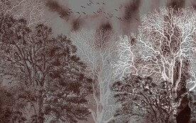 简约树卡中式背景墙