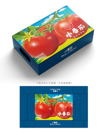 小番茄包装 