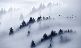 轻奢装饰画 新中式森林风