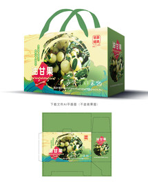 油甘果包装 