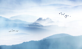 轻奢装饰画 新中式山水画 鸟
