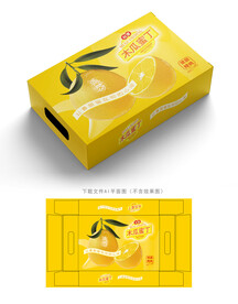 木瓜蜜丁包装