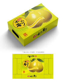 木瓜蜜丁包装