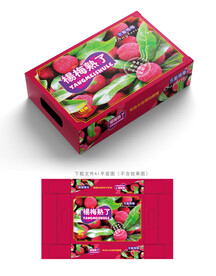 杨梅包装