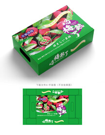 杨梅包装