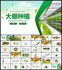 大棚种植PPT