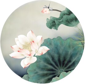 花鸟