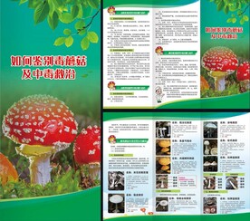 国家基本公共卫生服务