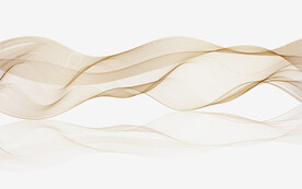 轻奢装饰画 弧线线条