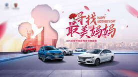 母亲节汽车团购会kv