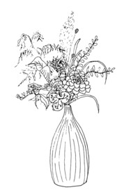 手绘插花艺术矢量线稿