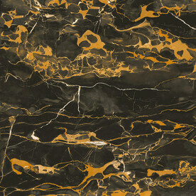 黑金花 金龙黑高清瓷砖设计