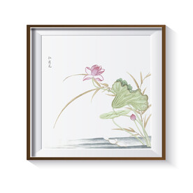荷花装饰画