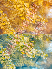 温暖琥珀色暖色调旅拍滤镜预设