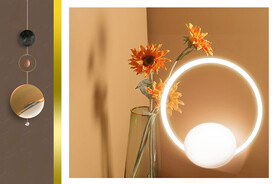 装饰画 菊花 光影画