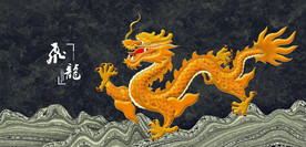 龙金龙