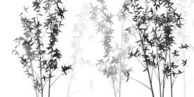 水墨竹子