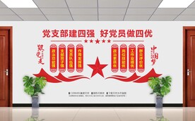 党支部文化墙