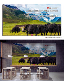 雪山牦牛群草地高清素材