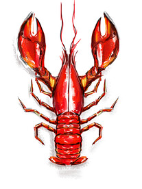龙虾