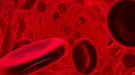 染色体DNA血细胞动态循环视频