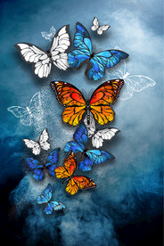 装饰画 蝴蝶
