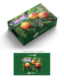 油桃包装 