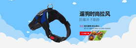 淘宝阿里宠物用品海报