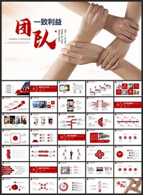 红色团队利益团结合作总结PPT