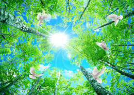 蓝天白云软膜天花