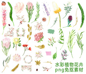 水彩植物图片大全 水彩植物设计素材 水彩植物模板下载 水彩植物图库 昵图网soso Nipic Com