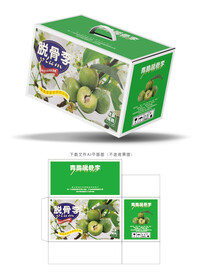 脱骨脆李包装 