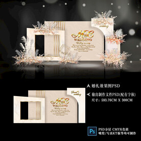 香槟色简约婚礼