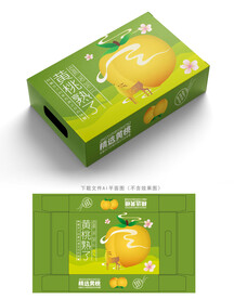 黄桃包装 