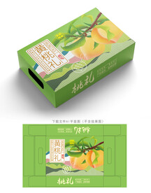 黄桃包装 