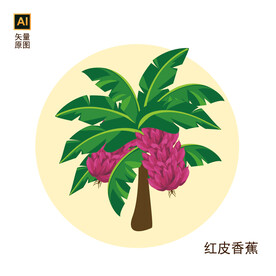 红皮香蕉手绘