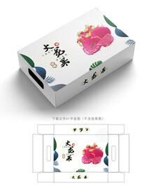 火龙果包装
